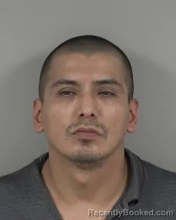 Mugshot of MARIO ALBERTO HERNANDEZ booked in Cabarrus County, North Carolina on May 1, 2026