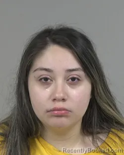 Mugshot of Sarahi Sotelo booked in Cabarrus County, North Carolina on August 2, 2026