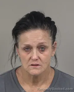 Mugshot of Cynthia Darlene Davis booked in Cabarrus County, North Carolina on August 14, 2026