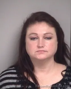 Mugshot of JULIE ANN HINSON