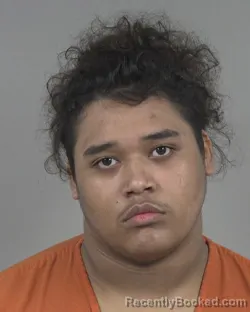 Mugshot of ANGEL HERNANDEZ HERRERA