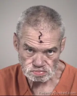 Mugshot of WILLIAM MARTIN BURNS WILSON