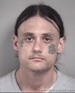 Mugshot of MICHAEL ANTHONY LEWIS