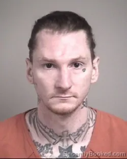 Mugshot of JAMES TERRY PATTERSON