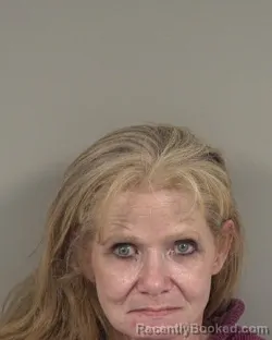 Mugshot of BRANDI BEACH BAUCOM