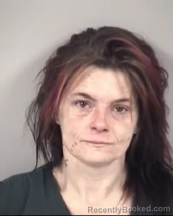 Mugshot of ELIZABETH ALLYN WRIGHT