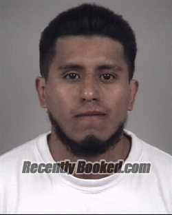 Mugshot of ELVIS SANCHEZ CAMPECHANO