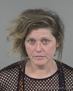 Mugshot of CHRISTA LEEANN FOX booked in Cabarrus County, North Carolina on June 12, 2026