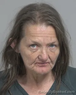 Mugshot of TERRI LYNN MATTHEWS