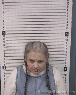 Mugshot of FELICIA LYNN CLARK booked in Caldwell County, North Carolina on March 20, 2026