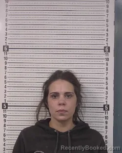 Mugshot of CHELSEA RENEE SHORES booked in Caldwell County, North Carolina on April 4, 2026