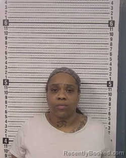 Mugshot of KENDAL LASHAUNTA K WARREN booked in Caldwell County, North Carolina on March 22, 2026