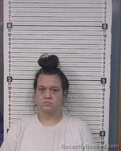 Mugshot of Sierra Denelle Anderson booked in Caldwell County, North Carolina on October 5, 2026