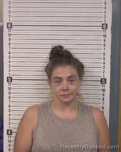 Mugshot of Summer Nicole Laney booked in Caldwell County, North Carolina on August 17, 2026