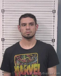 Mugshot of JOVANY ROJO