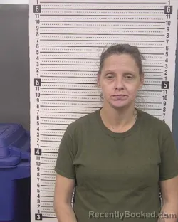 Mugshot of MELLISA DAWN WAUGH