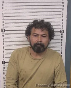 Mugshot of VICTOR JEREMIAS HERNANDEZ CASTIL booked in Caldwell County, North Carolina on March 25, 2026