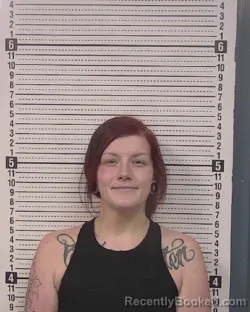 Mugshot of JACQUELINE MICHELLE HAMMONS booked in Caldwell County, North Carolina on March 22, 2026