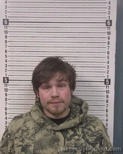 Mugshot of DEREK JAMES LINDSTEDT