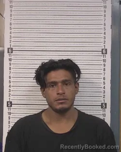 Mugshot of Roberto Alexander Carranza-Orellana booked in Caldwell County, North Carolina on August 14, 2026