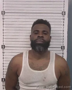 Mugshot of PHILLIP ROBERT BRYANT booked in Caldwell County, North Carolina on April 4, 2026