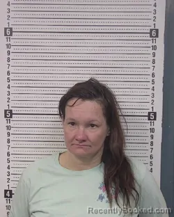 Mugshot of LAURIE ANN SLUDER