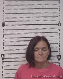Mugshot of NIKKI RAE WHISENANT-CHANEY booked in Caldwell County, North Carolina on May 19, 2026
