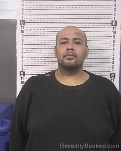 Mugshot of NERY ROSAS