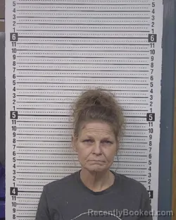 Mugshot of Aleisha Faye Williams booked in Caldwell County, North Carolina on August 8, 2026
