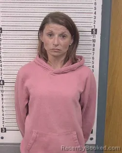 Mugshot of SHERRY LYNN SANDERS