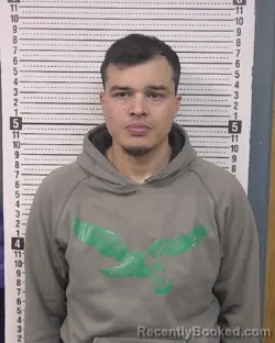 Mugshot of DAVID TREJO