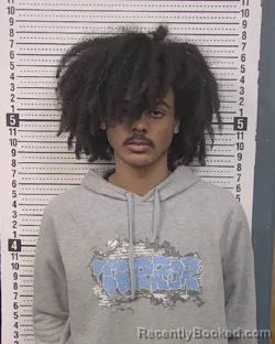 Mugshot of JUDE JAMES GUY PARKS