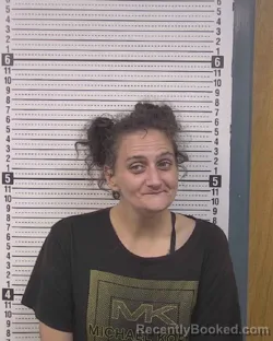 Mugshot of AMBERLEE LYNN INGRAM booked in Caldwell County, North Carolina on June 23, 2026