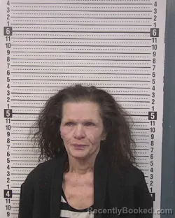 Mugshot of DEBRA CAUDILL-ANN HAAS booked in Caldwell County, North Carolina on March 18, 2026