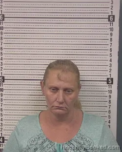 Mugshot of WINDY JANE MESSER booked in Caldwell County, North Carolina on May 11, 2026