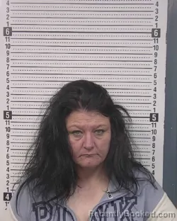 Mugshot of TARA LYNN FRANCIS booked in Caldwell County, North Carolina on March 30, 2026