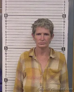 Mugshot of Cenanthia Lynn Vinson booked in Caldwell County, North Carolina on July 28, 2026