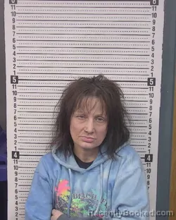 Mugshot of Lesa Ann Chester booked in Caldwell County, North Carolina on October 1, 2026