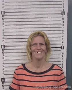 Mugshot of CAROLYN NICHOLE TIERNEY booked in Caldwell County, North Carolina on March 28, 2026