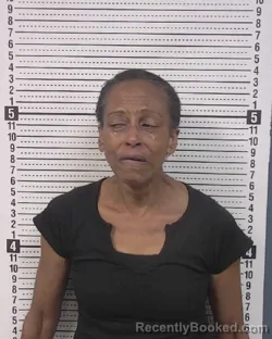 Mugshot of BESSIE LEONA HICKS booked in Caldwell County, North Carolina on May 4, 2026
