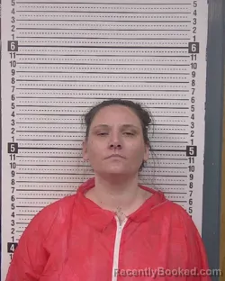 Mugshot of WHITNEY LAINE HALL
