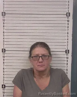 Mugshot of CRYSTAL RASH COLLINS booked in Caldwell County, North Carolina on March 22, 2026