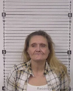 Mugshot of WENDY ANGLEA FAIR booked in Caldwell County, North Carolina on July 2, 2026