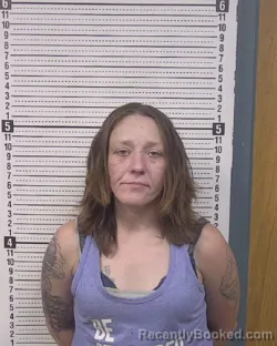 Mugshot of HOLLIE MICHELLE JACKSON booked in Caldwell County, North Carolina on June 24, 2026