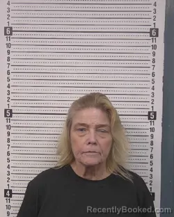 Mugshot of DONNA GAIL FOX