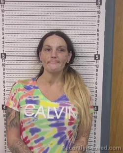 Mugshot of BOBBIE MARIE GOSNELL booked in Caldwell County, North Carolina on June 19, 2026