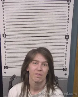 Mugshot of SAMANTHA ELLEN SHERRIER