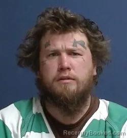 Mugshot of Michael Vincent Mitchell