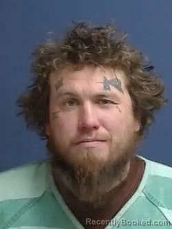 Mugshot of Michael Vincent Mitchell