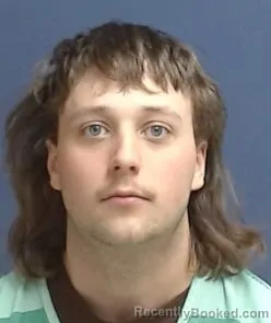 Mugshot of John Henry Williams